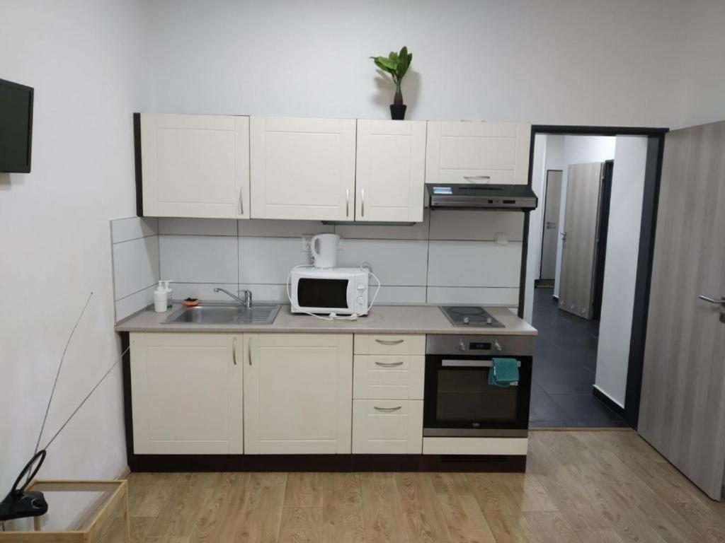 Apartments Near The Center With Privat Parking Brno Exterior photo